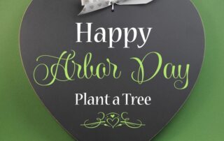 Celebrating National Arbor Day