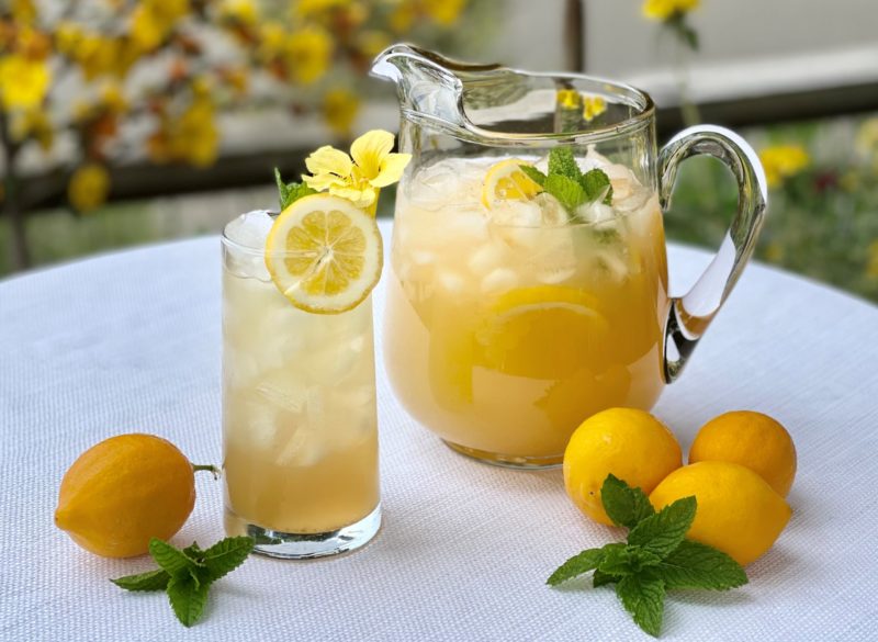 Apple Lemonade Recipe