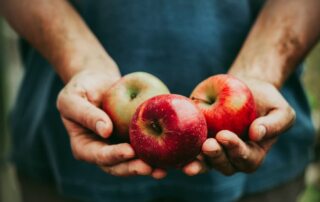 What makes Apples Organic?